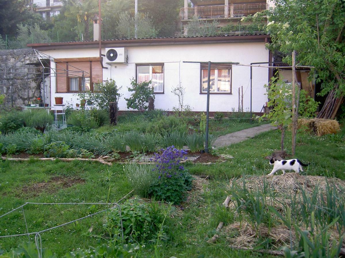 Apartman Thea Lejlighed Opatija Eksteriør billede